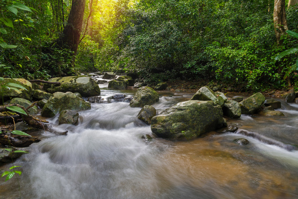 Waterfall in deep rain forest jungle (Krok E Dok Waterfall Sarab - Фото, изображение