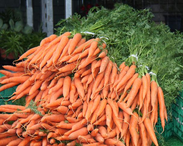 Freshly Picked Carrots. - Photo, Image