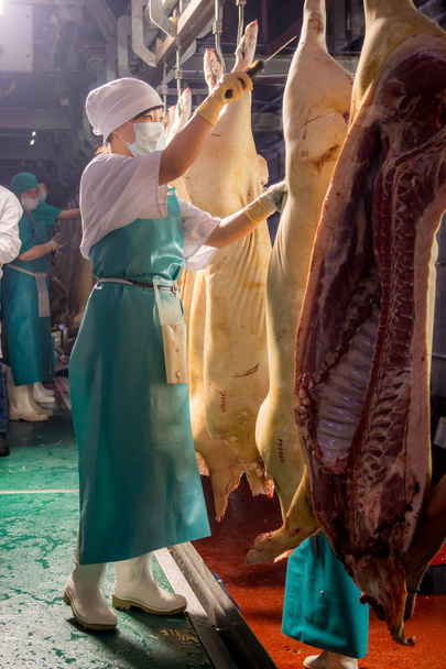 Fábrica de produção de carne de porco
 - Foto, Imagem