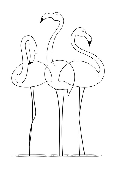 Три граціозних фламінго на білому тлі
 - Вектор, зображення