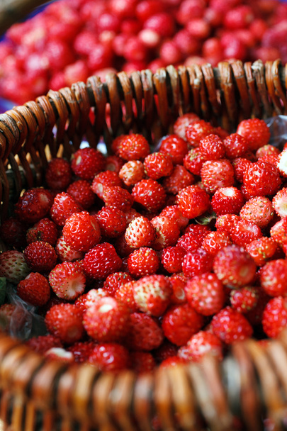 rijp wilde aardbeien - Foto, afbeelding