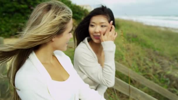 Donne che godono di aria fresca sulla spiaggia
 - Filmati, video