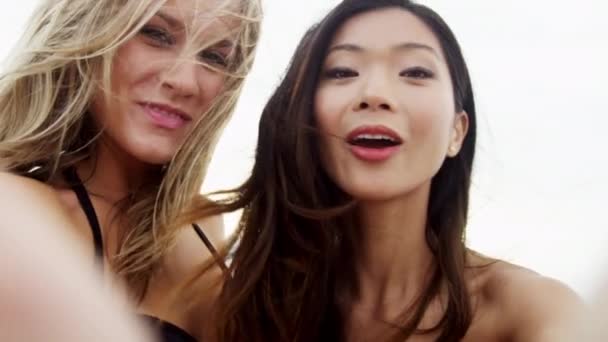 chicas divirtiéndose en la playa - Metraje, vídeo