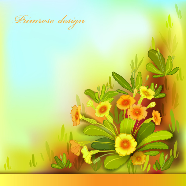 Orange yellow primroses - Vektör, Görsel