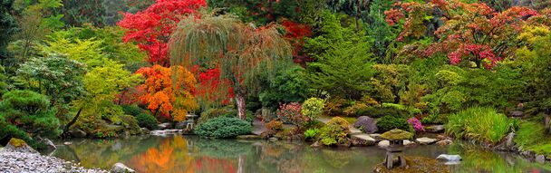 japoński ogród panoramiczny widok - Zdjęcie, obraz