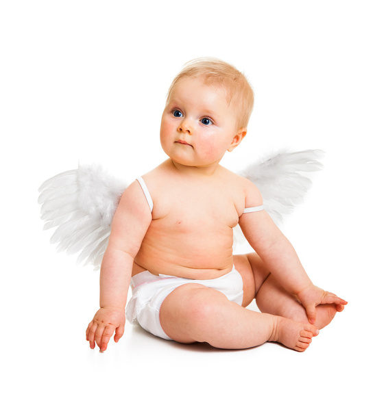 Cute infant angel with wings isolated on white - Foto, afbeelding