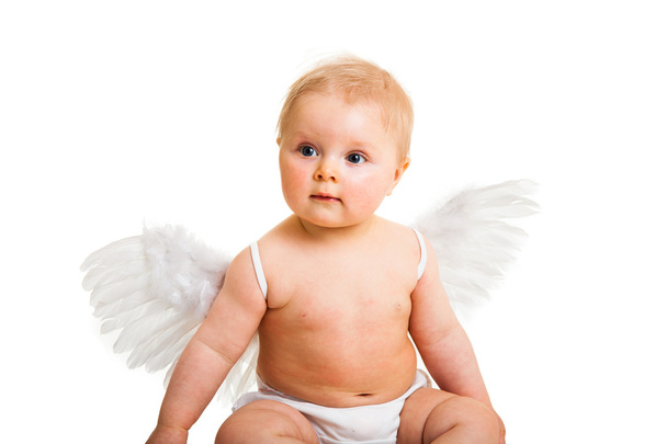 Cute infant angel with wings isolated on white - Foto, Imagem