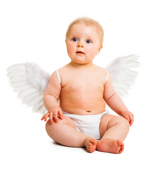 Cute infant angel with wings isolated on white - Photo, Image