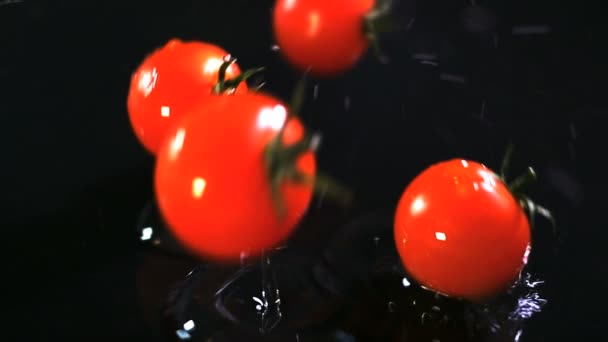Slow motion of tomatoes falling with water drops on black surface. - Záběry, video
