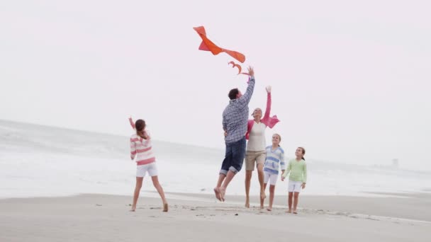 Семья веселится с воздушным змеем на пляже
 - Кадры, видео
