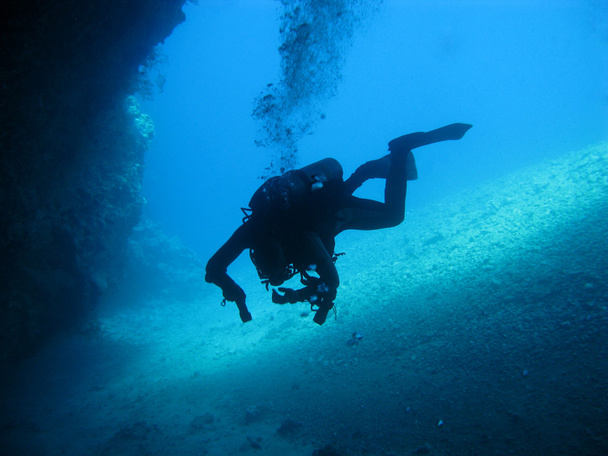 Bottom of red sea with diver - Fotoğraf, Görsel