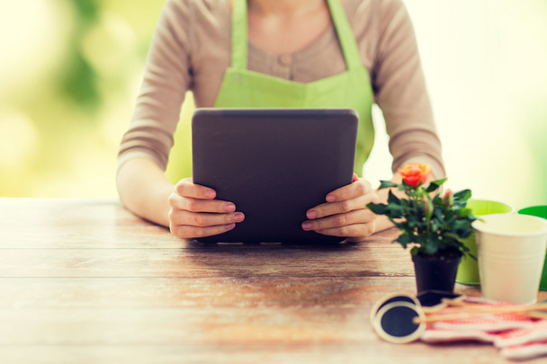 close up of woman or gardener holding tablet pc - Photo, image