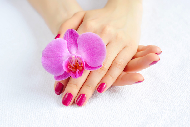 schöne Hände mit Maniküre und lila Orchideenblume - Foto, Bild