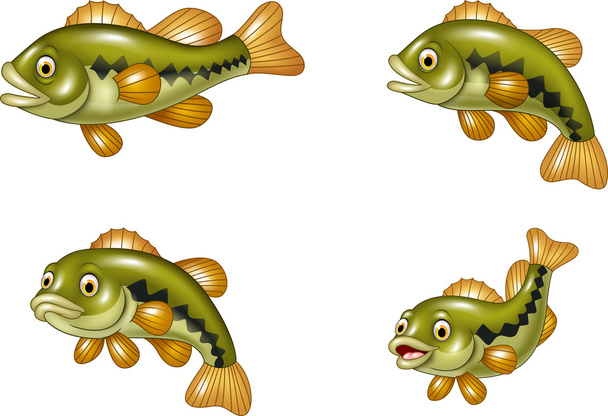 Cartoon funny bass fish collection isolated on white background - Vector, Image