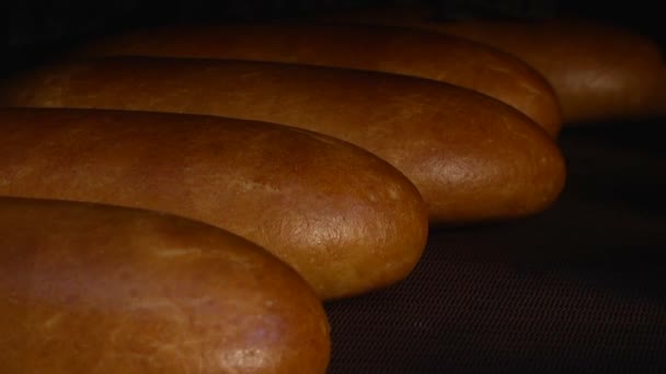 ekmek loafs - Video, Çekim