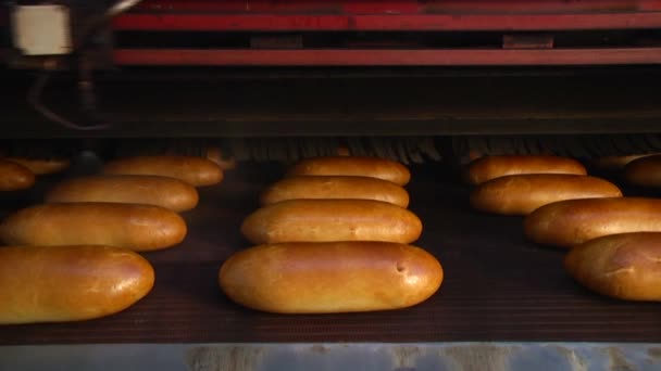 Loafs chleba białego - Materiał filmowy, wideo