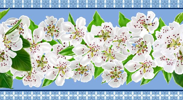 horizontal floral border pattern, seamless. The branch of a flowering pear. White flowers. Blooming trees. - Фото, изображение