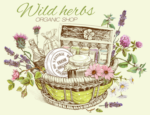 Herbal cosmetics basket - Vector, Image