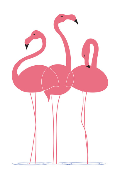 Rózsaszín flamingók állnak egy fehér háttér - Vektor, kép