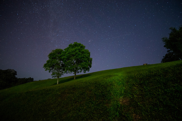 Malebné noční krajina ze dvou velký strom s mnoha hvězdou na obloze - Fotografie, Obrázek