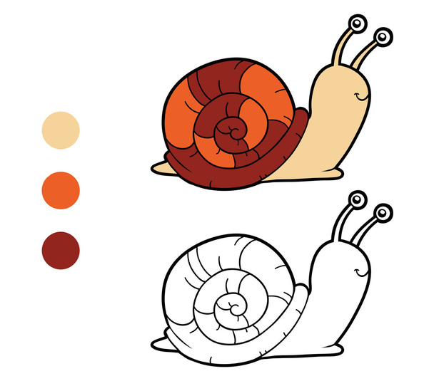Coloring book, coloring page (snail) - Vector, Image