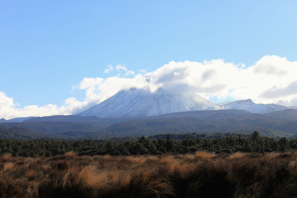 Гора Ngauruhoe, Нова Зеландія. - Фото, зображення