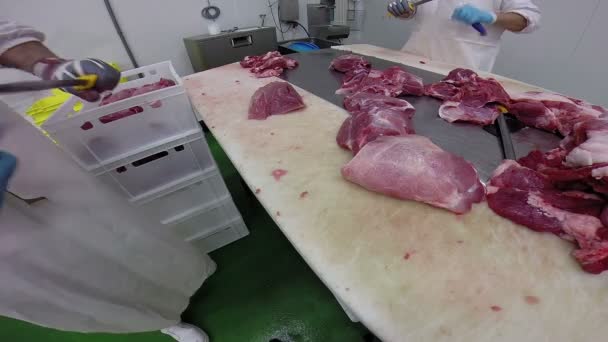Skilled Butcher Sharpening Knife - Footage, Video
