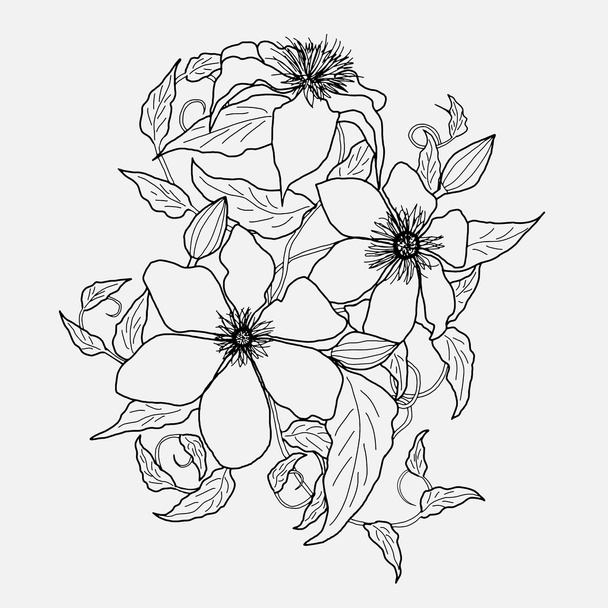 flower clematis, pencil drawing, sketch, vector illustration - Διάνυσμα, εικόνα