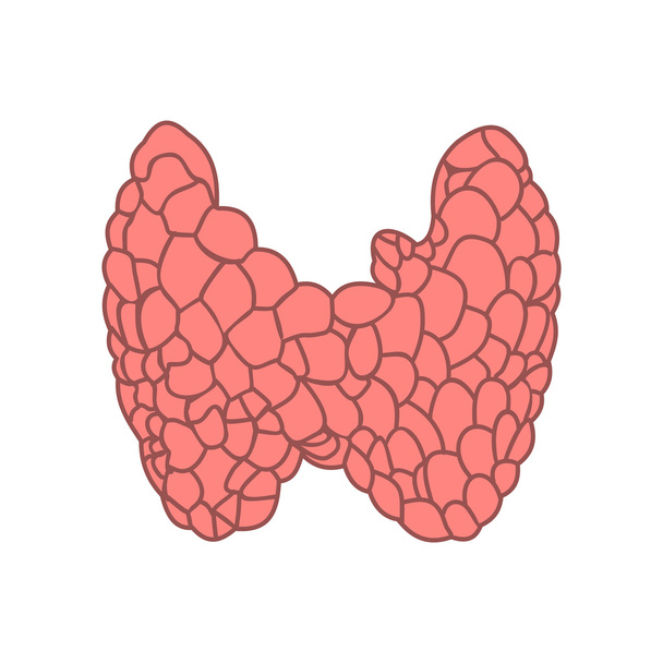 Thyroid icon flat - Vektor, Bild