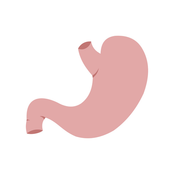 Human stomach icon - Vektor, Bild