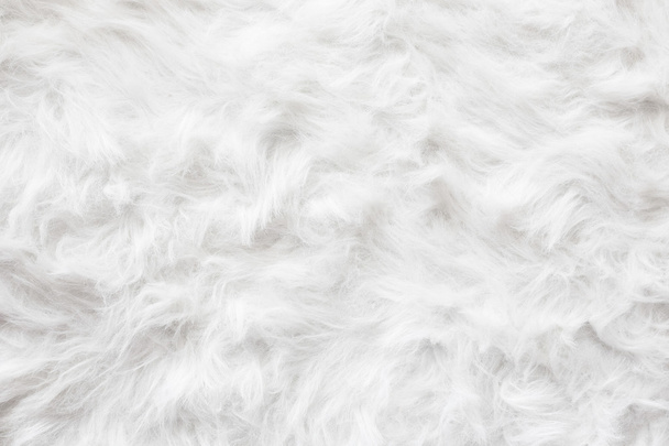 Fond d'écran laine de mouton texture de fond
. - Photo, image