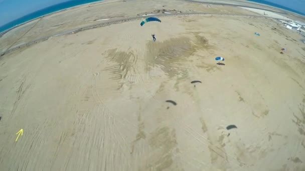 Skydiver is landing on parachute - Video, Çekim