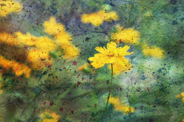 watercolor artwork with cute yellow coreopsis flowers - Fotoğraf, Görsel