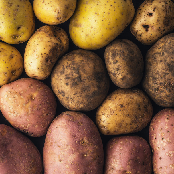 Raw potatoes  background square - Фото, изображение
