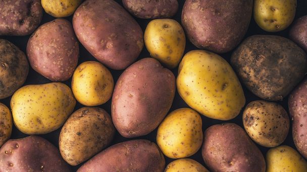 Raw potatoes  background horizontal - Zdjęcie, obraz