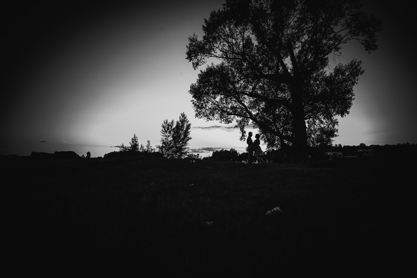 preto branco fotografia romântico casal de pé e beijando no fundo verão prado
 - Foto, Imagem