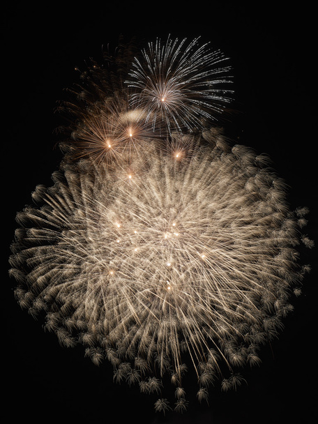 Feuerwerk Primer plano
 - Foto, imagen