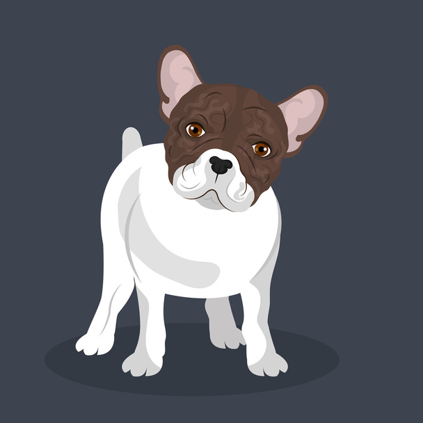 bulldog breed design - Vektor, obrázek