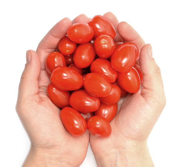 Cherry tomatoes in hands isolated on white - Foto, immagini