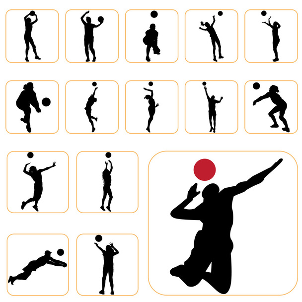 Volleyball set - Vector, Image