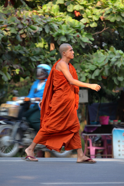 Un monje budista
 - Foto, imagen