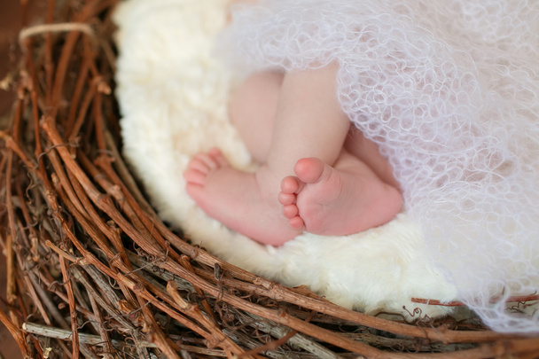 Roztomilý nohy novorozené holčičky - Fotografie, Obrázek