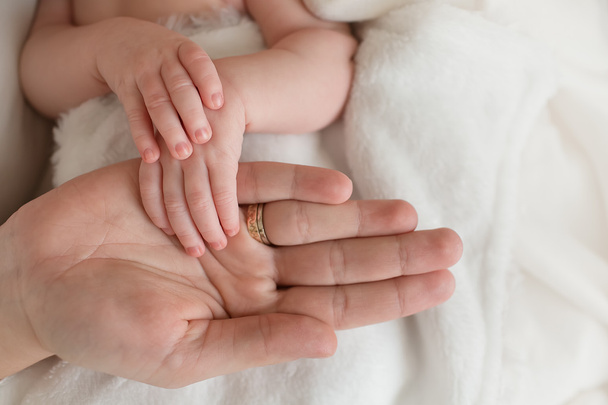 Yeni doğmuş bir kızın şirin el - Fotoğraf, Görsel