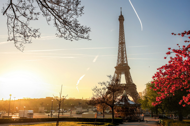 Eiffel Tower with spring tree in Paris, France - Фото, изображение