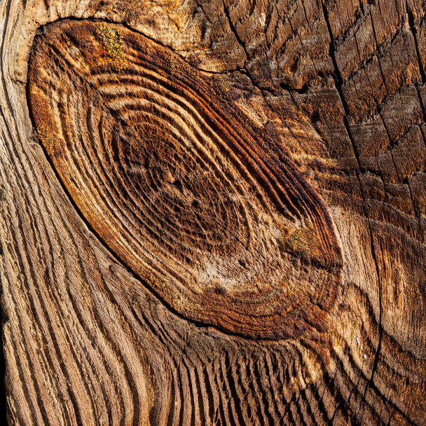 Fundo de madeira escuro
 - Foto, Imagem