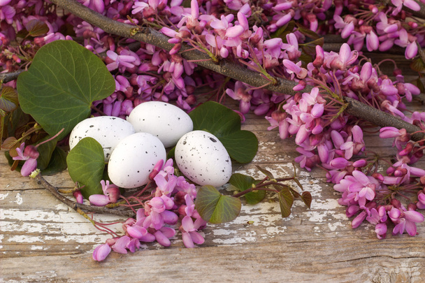 Easter eggs and flowering branch. - Фото, зображення