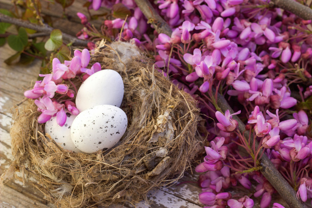 Easter eggs and flowering branch. - Foto, Bild