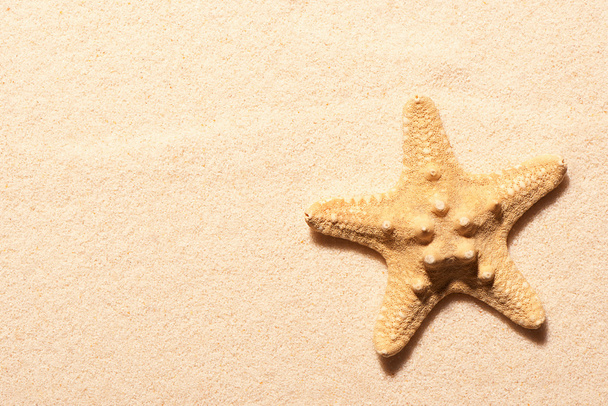 Starfish on sand. Summer beach background - 写真・画像
