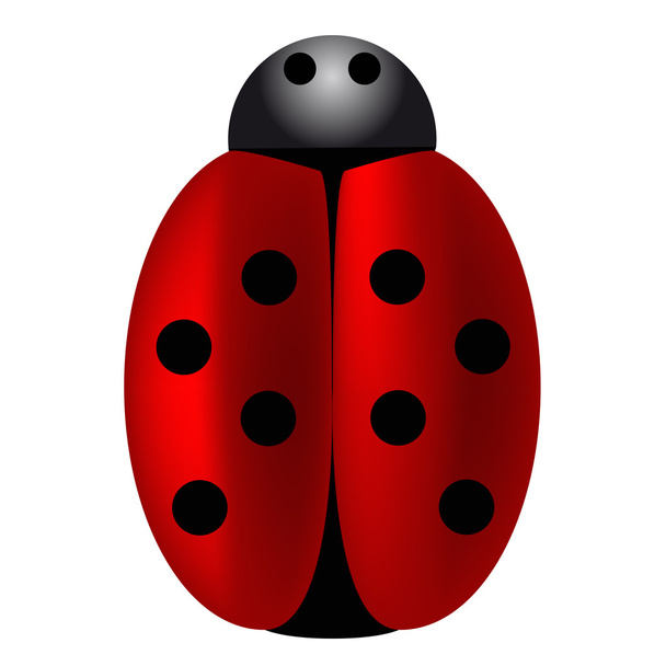 Ladybird - Vektör, Görsel