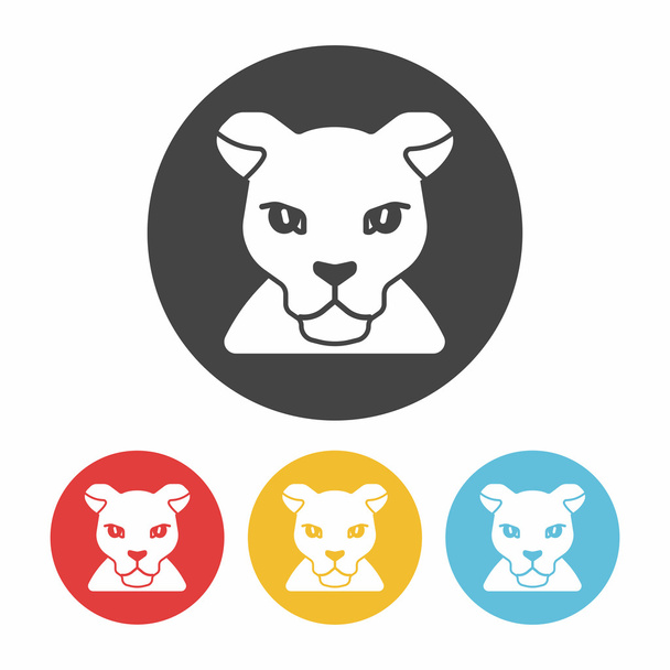 animal leopard icon vector illustration - Вектор,изображение